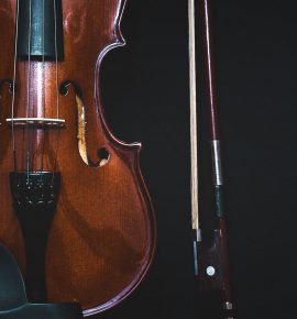 Viola