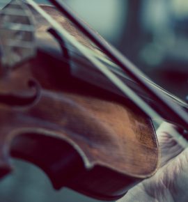 Violino