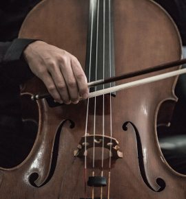 Violoncello